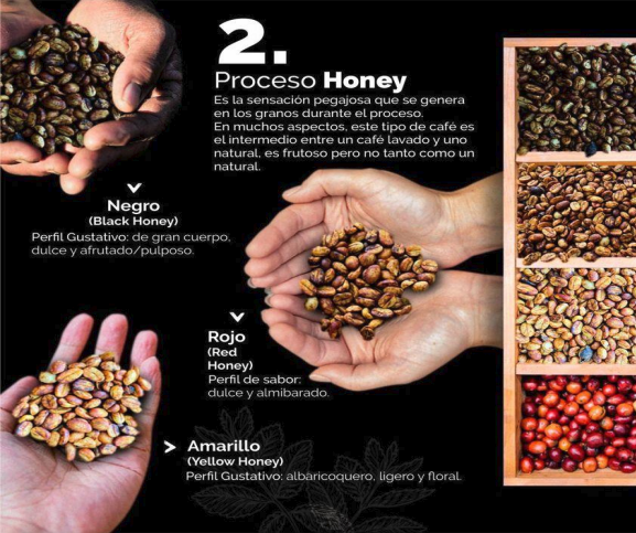 proceso honey