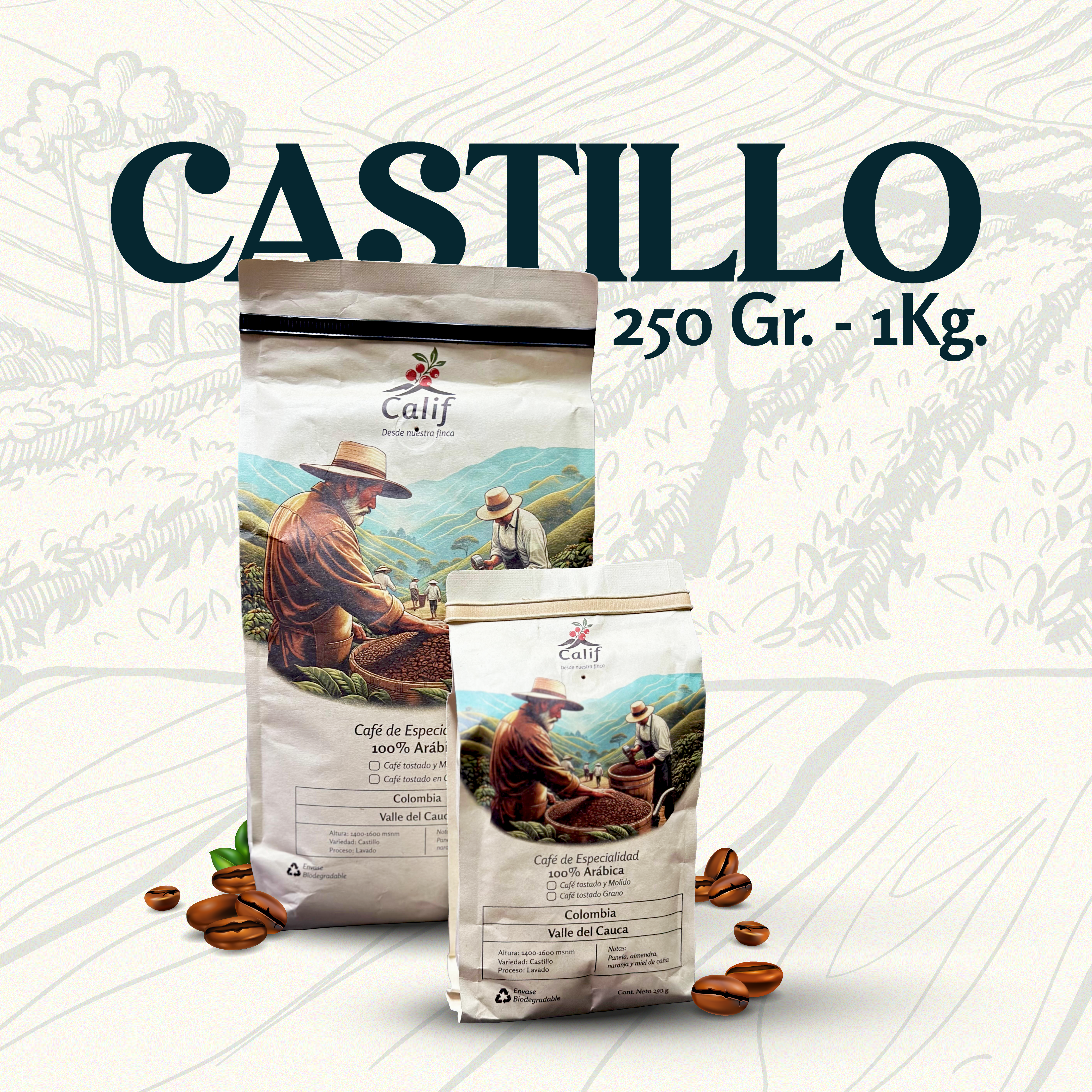 PORTADA CALIF Café Colombiano