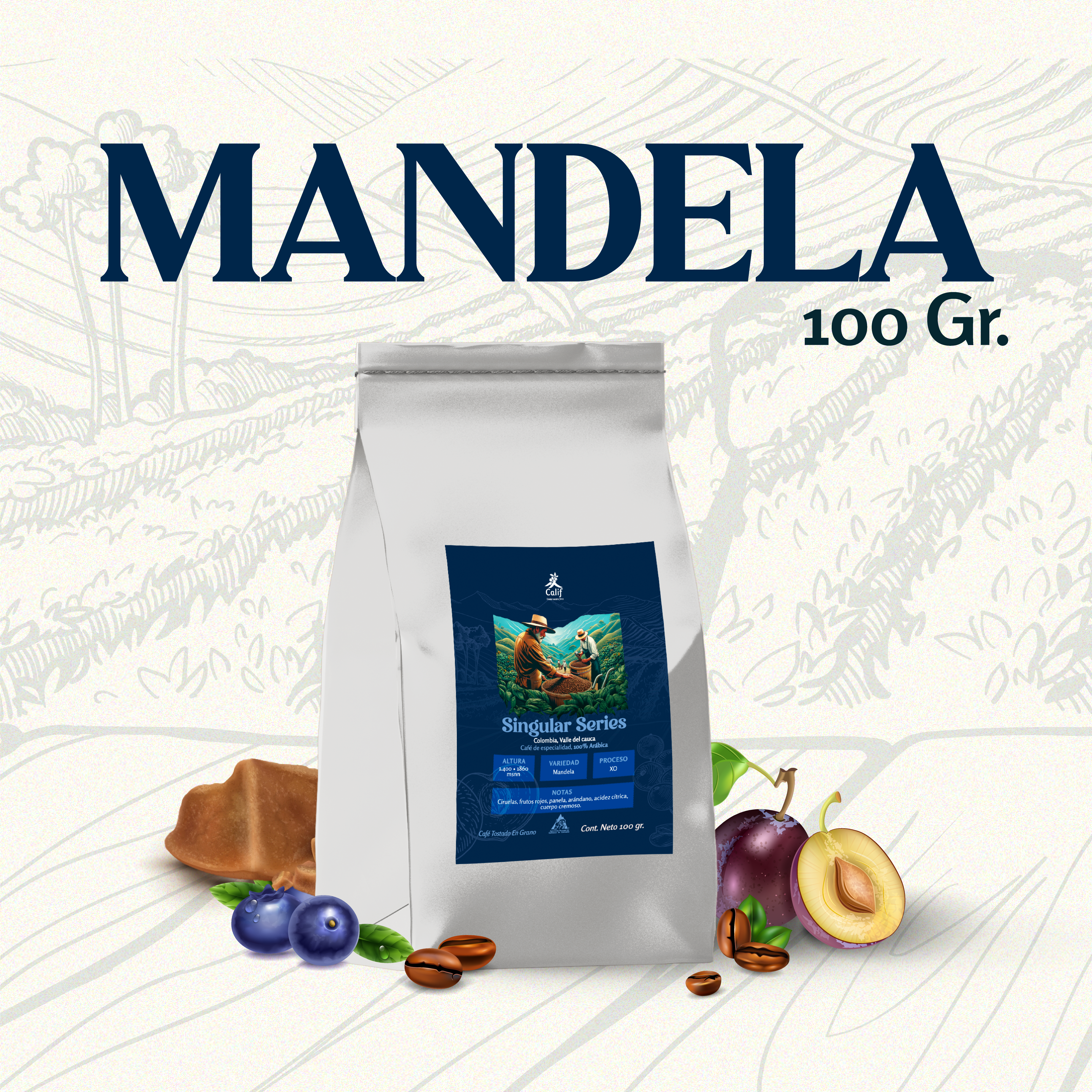 PORTADA MANDELA