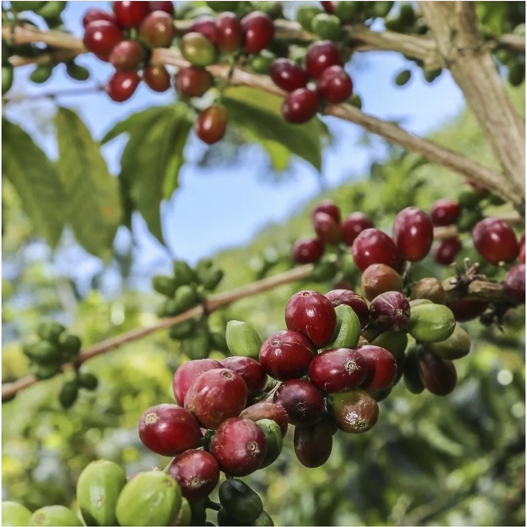 granja_la_esperanza_5