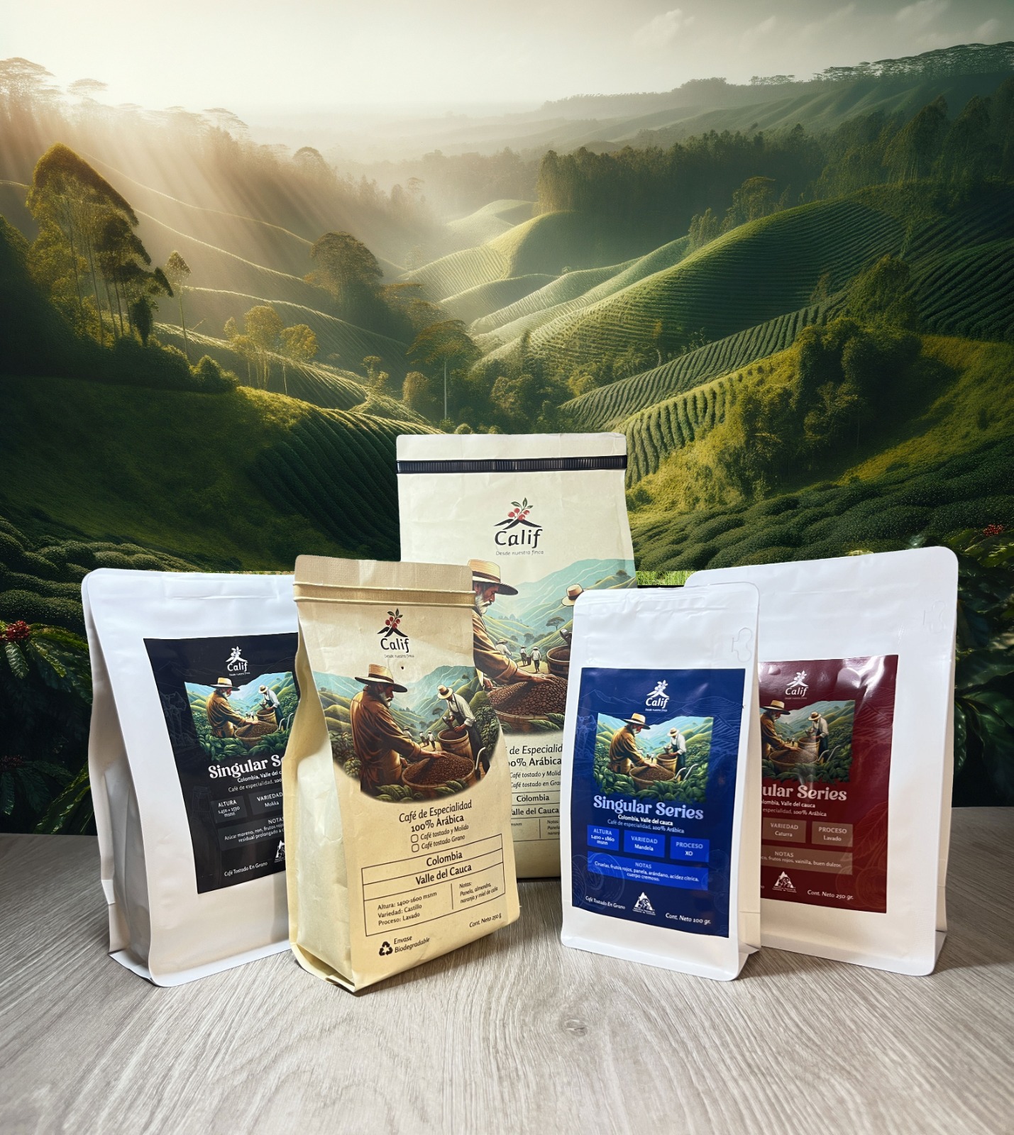 WhatsApp Image 2024-09-12 at 17.29.38